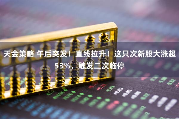 天金策略 午后突发！直线拉升！这只次新股大涨超53%，触发二次临停